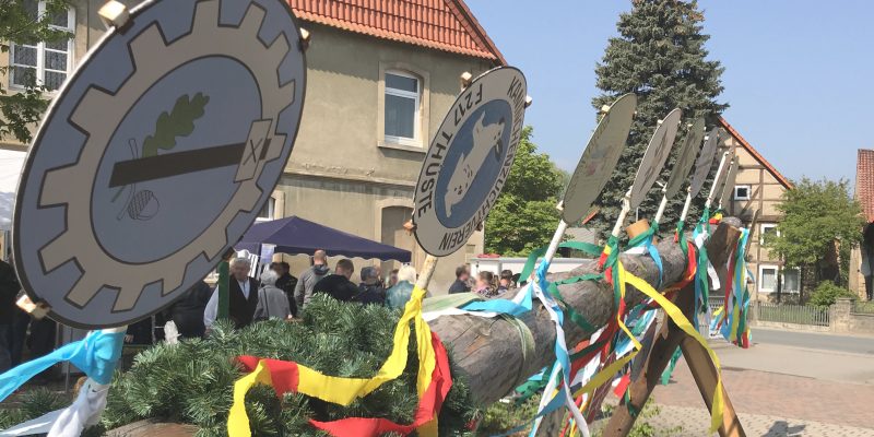 Maibaum in Thüste