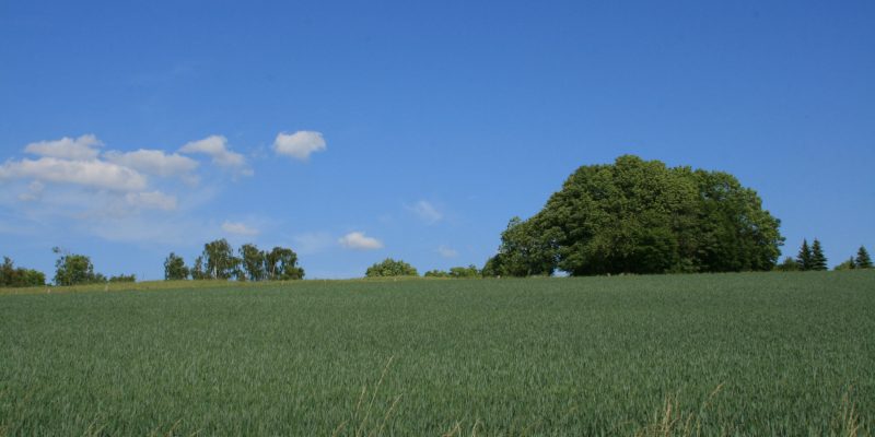 Lauensteiner Umgebung