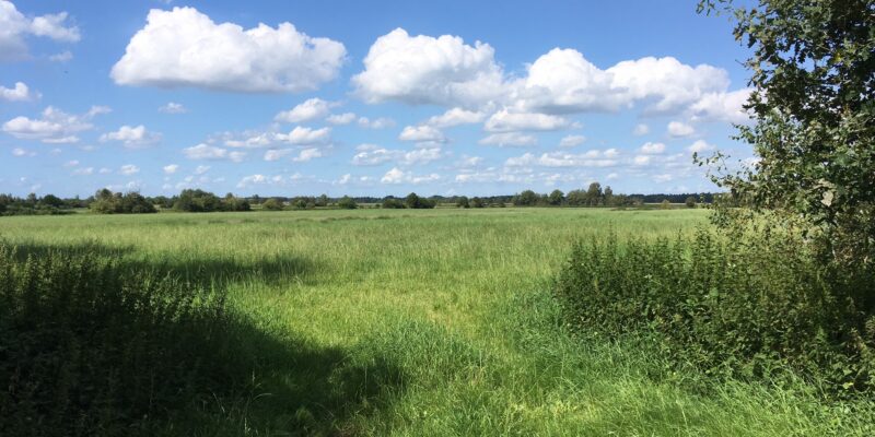 Wiesenlandschaft bei Glinstedt