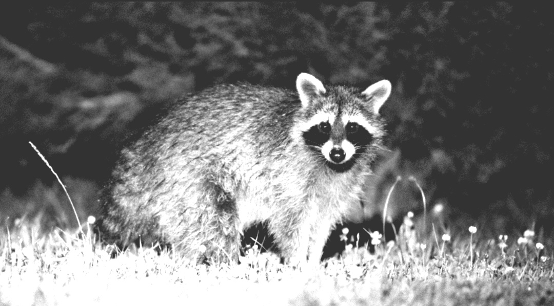 Screenshot_20251028_133849